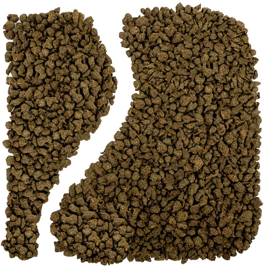 Ginseng żeń-szeń oolong turkusowy